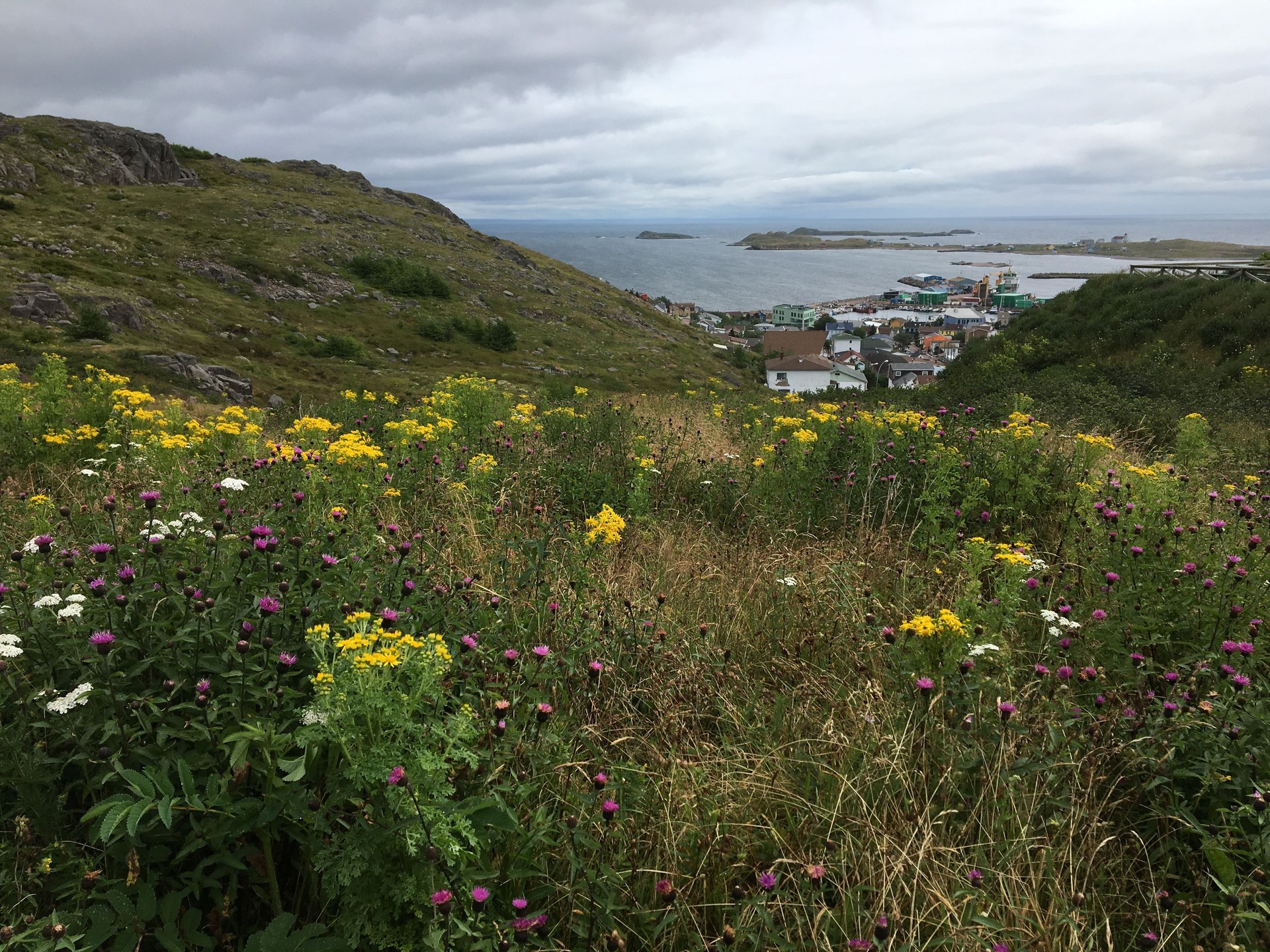 Summer in Saint-Pierre-et-Miquelon